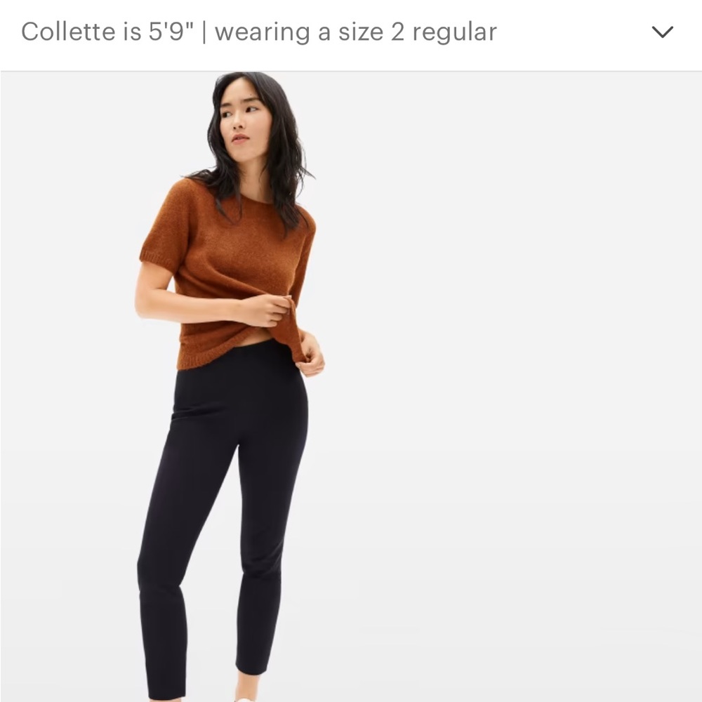 Everlane cotton side-zip pants